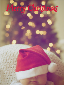 Merry Christmas - Christmas Photocard