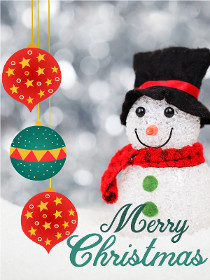 Merry Christmas - Christmas Photocard