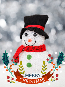 Merry Christmas - Christmas Photocard