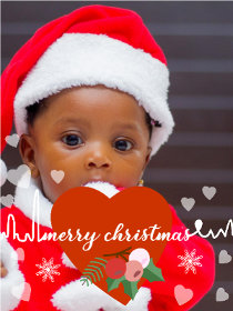 Merry Christmas - Christmas Photocard
