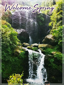Welcome Spring