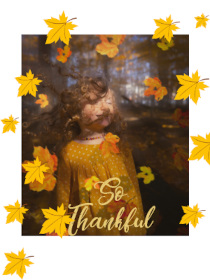 Thanksgiving Photocard