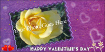 Happy Valentine's Day - Photocard